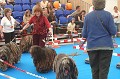 image_12Bea_13